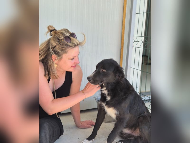 Woody - lieb und anschmiegsam