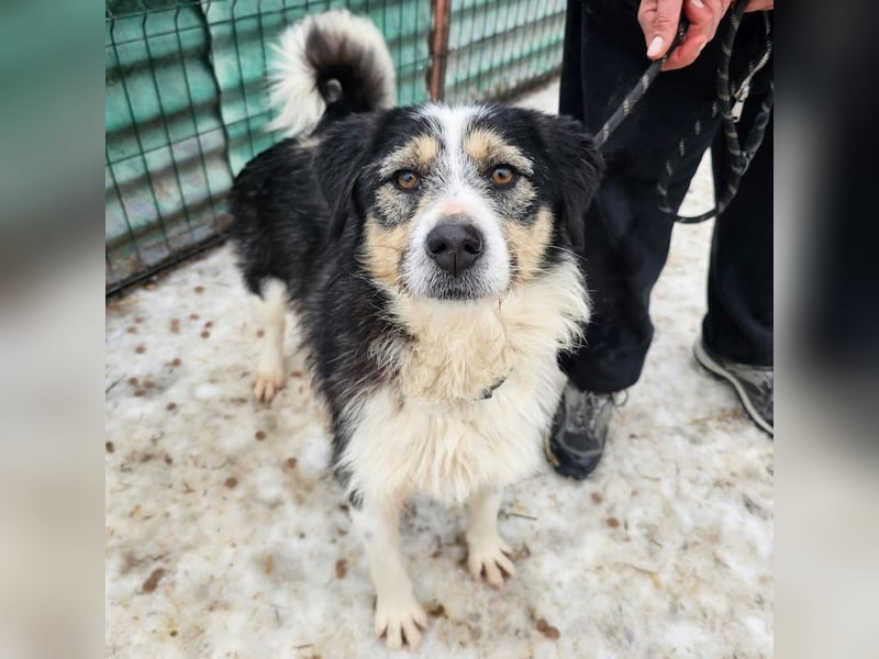 Filip - lieber Bub braucht menschliche Nähe
