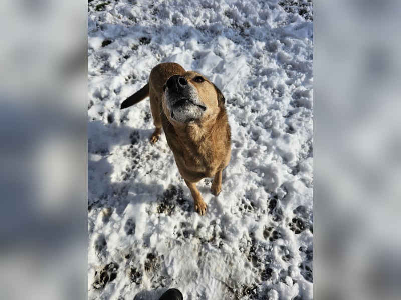 Unser Ulise sucht seine Familie