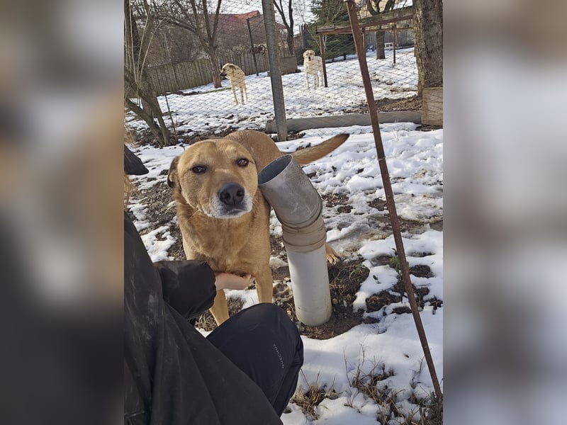 Unser Ulise sucht seine Familie