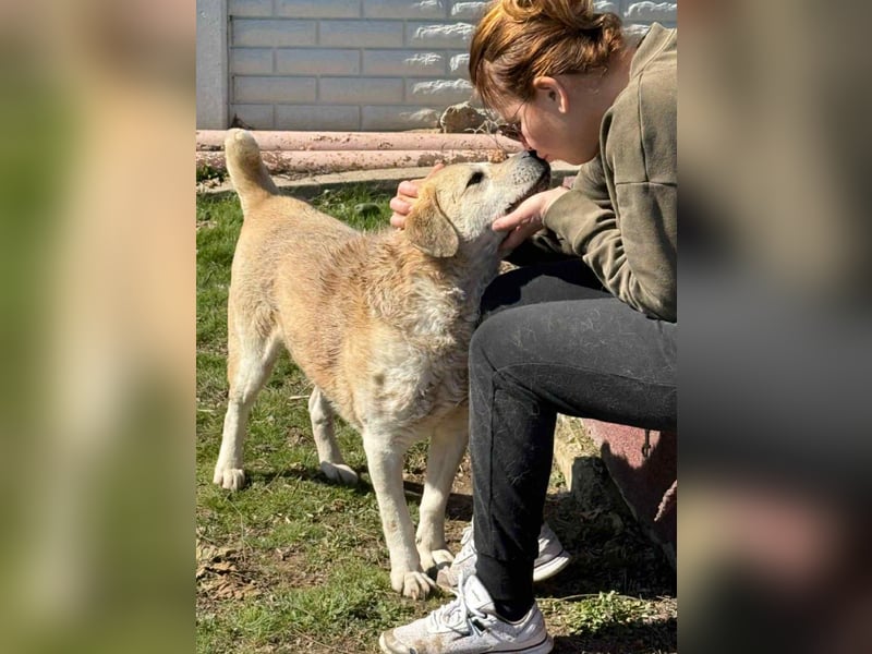 Max - seeehr verschmust u. lieb!