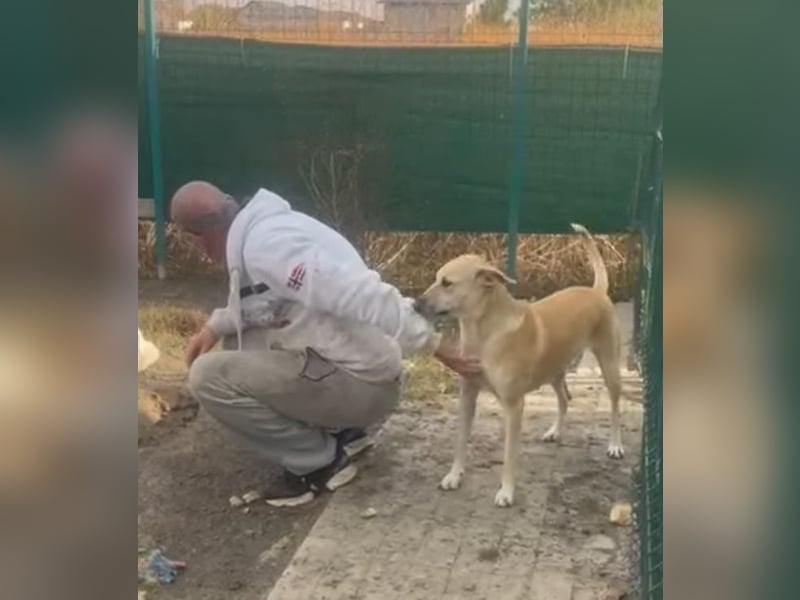 Leni - sehr lieb + sanft