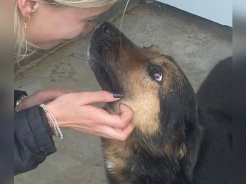 Kuschelmaus Raya - auf PS in Bayern (86576)