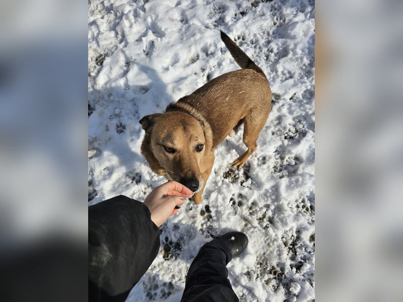 Unser Ulise sucht seine Familie