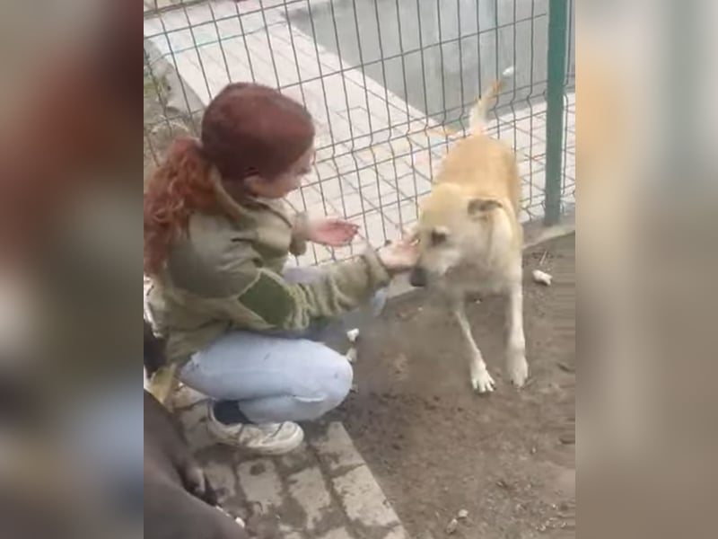 Leni - sehr lieb + sanft