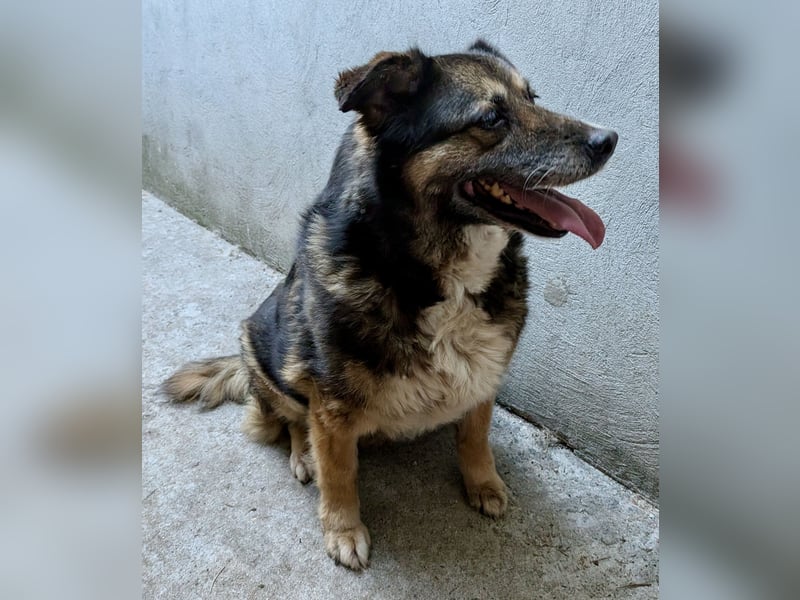 Kiruna sucht endlich ihr Körbchen (D/CH/LUX)
