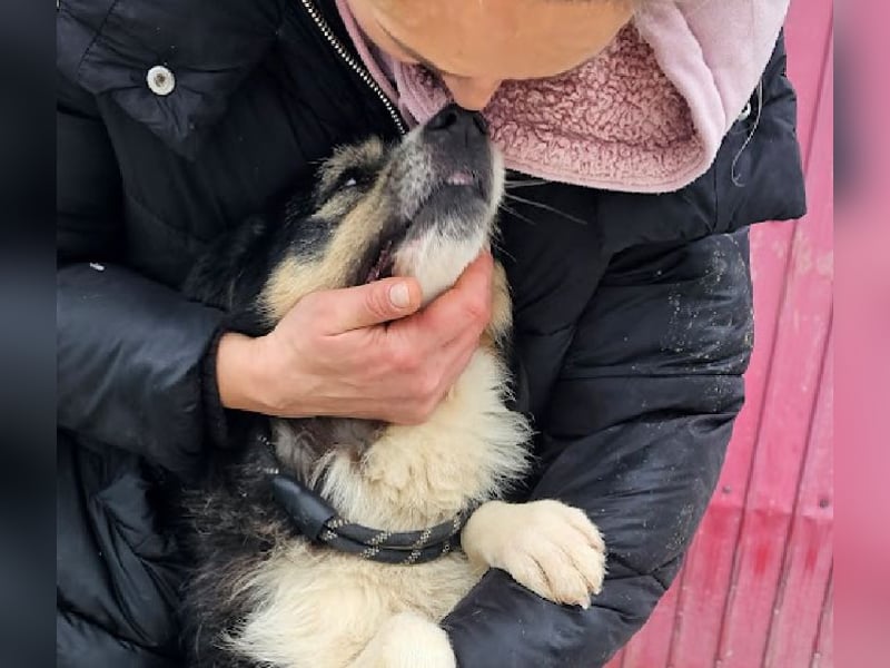 Filip - lieber Bub braucht menschliche Nähe