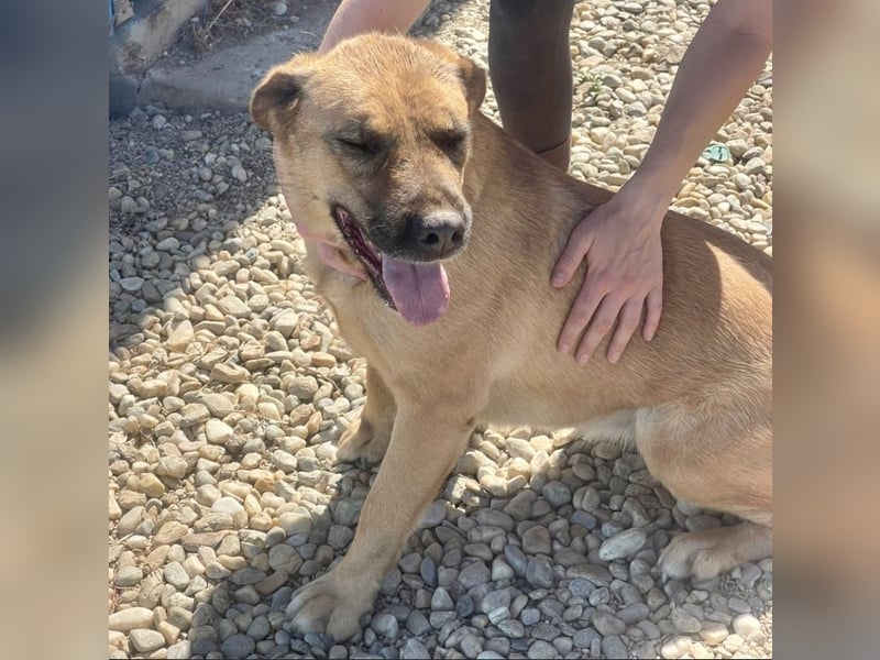 Lemonaria, unkomplizierte, liebe und fitte Seniorin