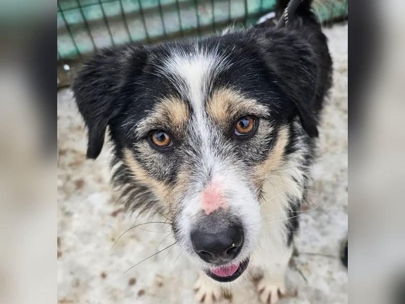 Filip - lieber Bub braucht menschliche Nähe