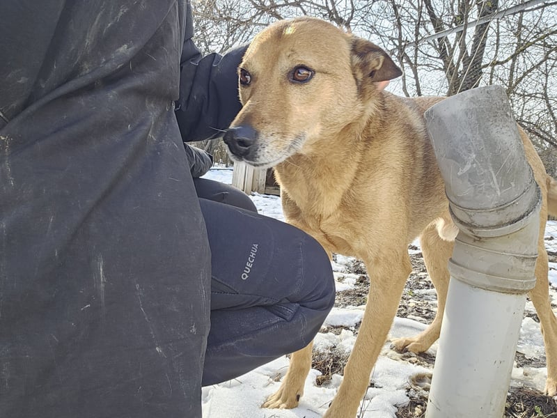 Unser Ulise sucht seine Familie