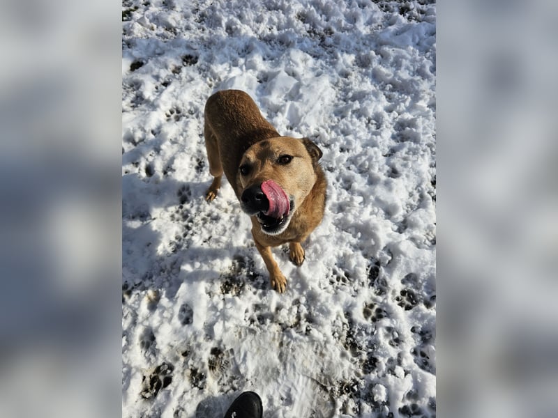 Unser Ulise sucht seine Familie