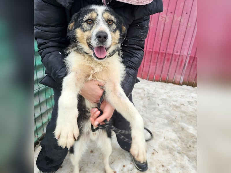 Filip - lieber Bub braucht menschliche Nähe