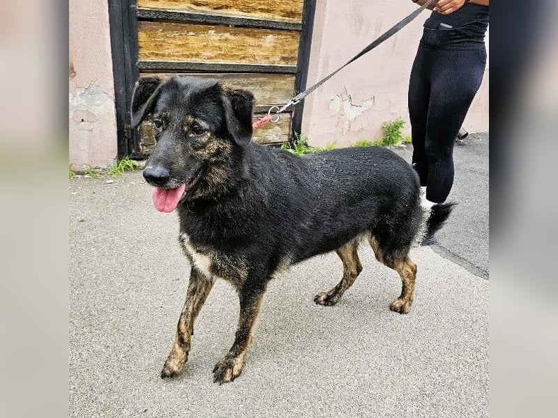 Soona - ausgesprochen menschenbezogen und freundlich