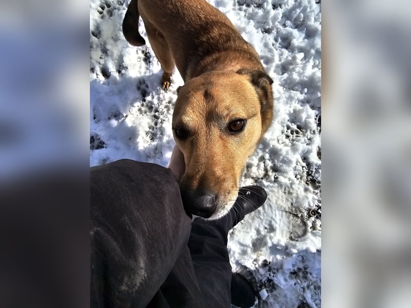 Unser Ulise sucht seine Familie