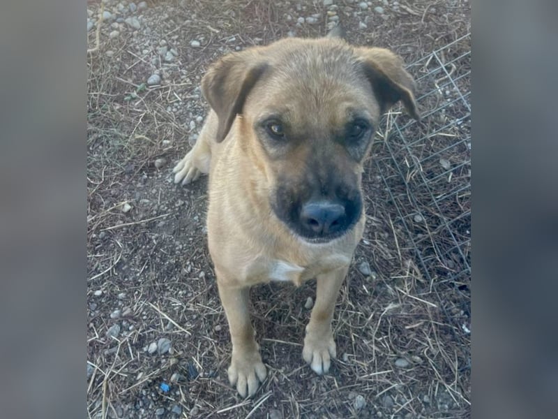 Lemonaria, unkomplizierte, liebe und fitte Seniorin