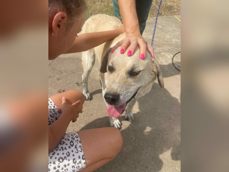 Max - seeehr verschmust u. lieb!