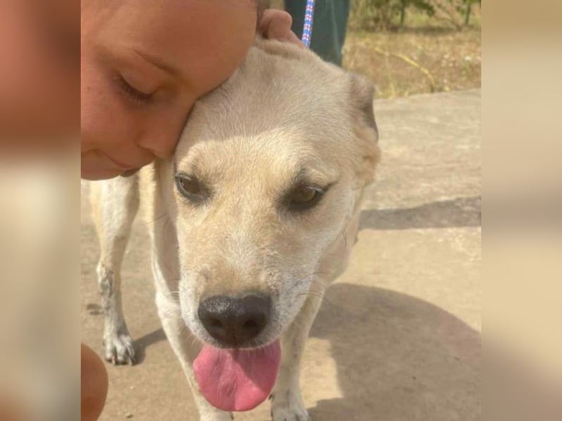 Max - seeehr verschmust u. lieb!