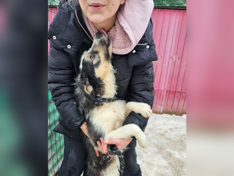 Filip - lieber Bub braucht menschliche Nähe