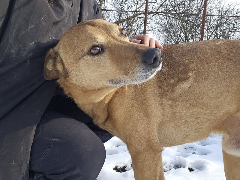 Unser Ulise sucht seine Familie