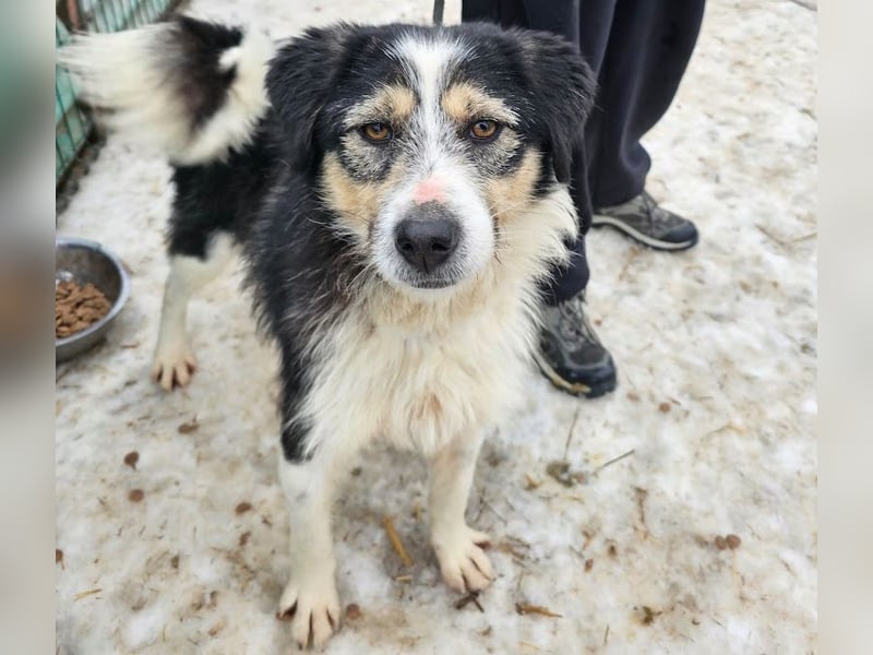 Filip - lieber Bub braucht menschliche Nähe