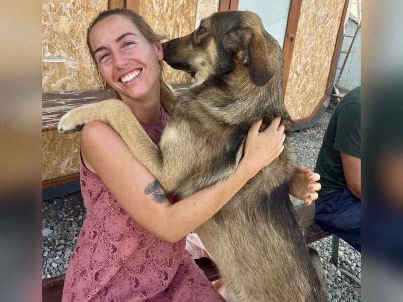 Pedro - Sonnenschein sucht Zuhause