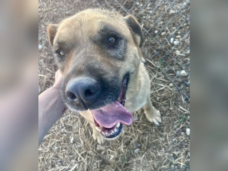 Lemonaria, unkomplizierte, liebe und fitte Seniorin