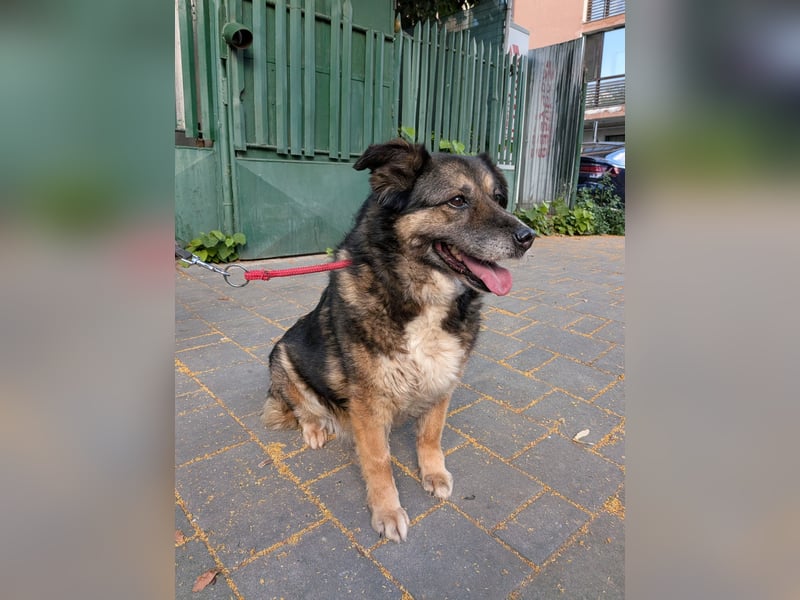 Kiruna sucht endlich ihr Körbchen (D/CH/LUX)