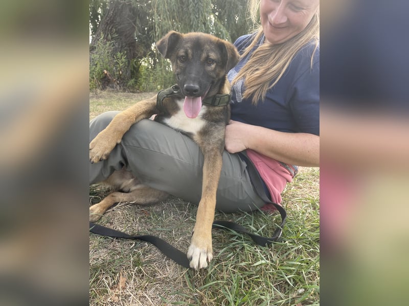 Joly sucht seine Person zum Ankommen