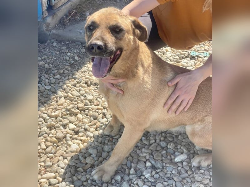 Lemonaria, unkomplizierte, liebe und fitte Seniorin