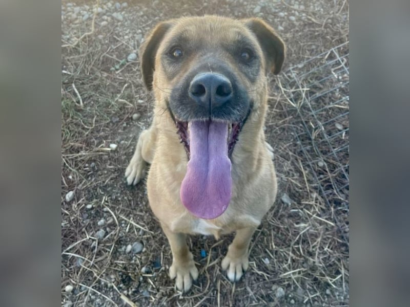 Lemonaria, unkomplizierte, liebe und fitte Seniorin