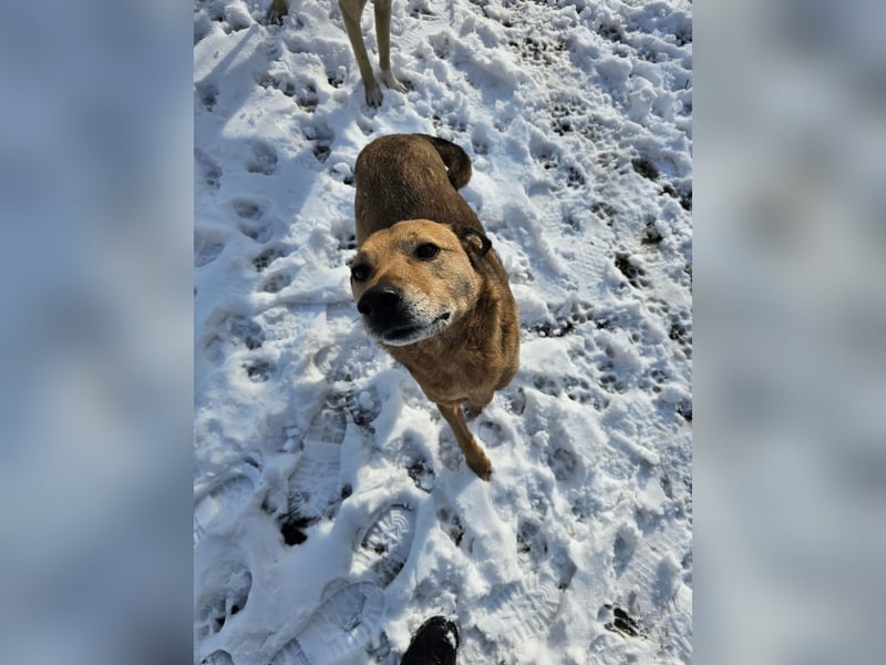 Unser Ulise sucht seine Familie