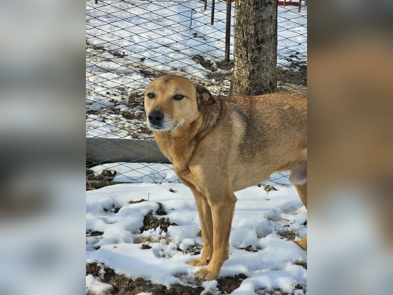 Unser Ulise sucht seine Familie
