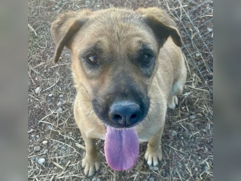 Lemonaria, unkomplizierte, liebe und fitte Seniorin