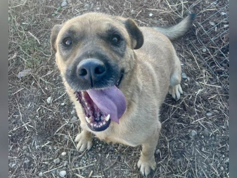 Lemonaria, unkomplizierte, liebe und fitte Seniorin