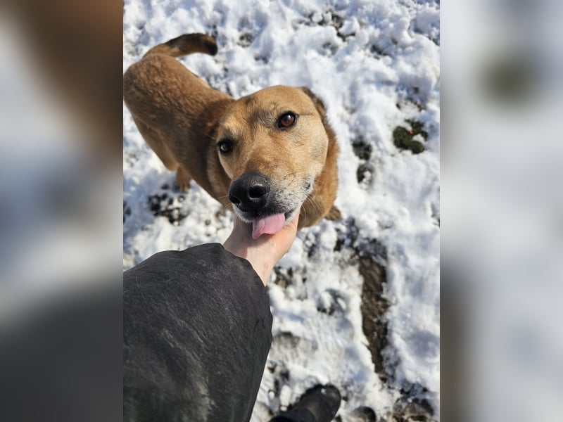 Unser Ulise sucht seine Familie