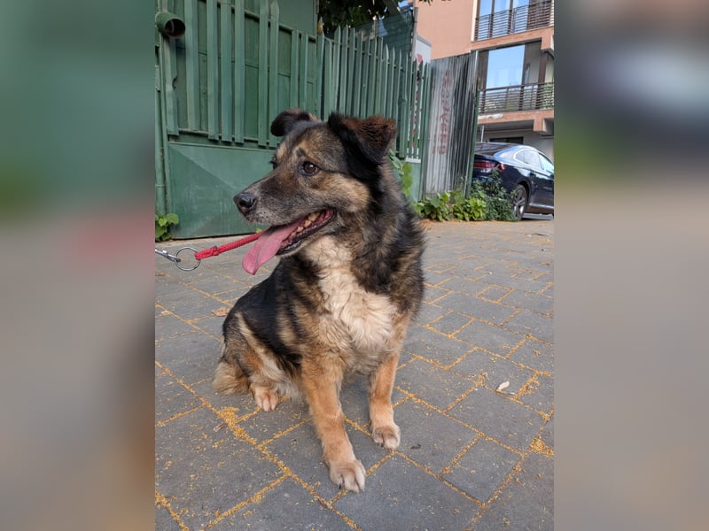 Kiruna sucht endlich ihr Körbchen (D/CH/LUX)