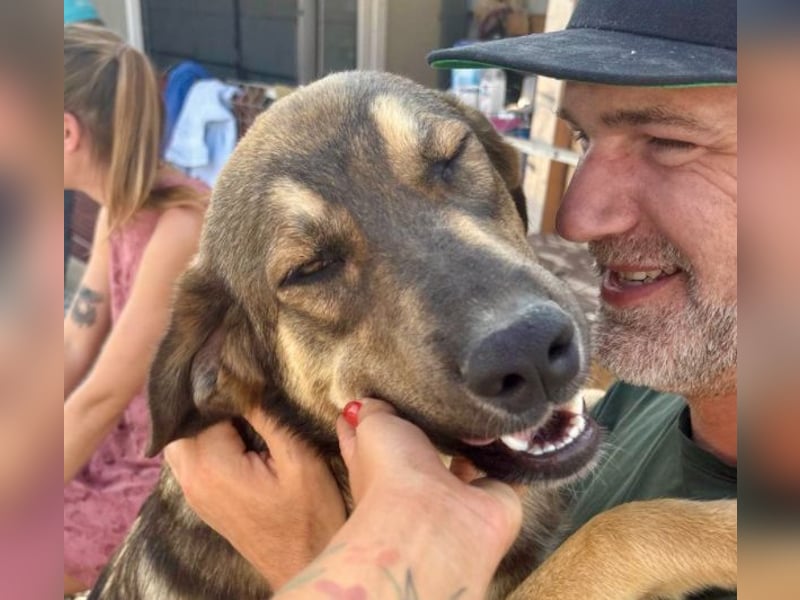 Pedro - Sonnenschein sucht Zuhause