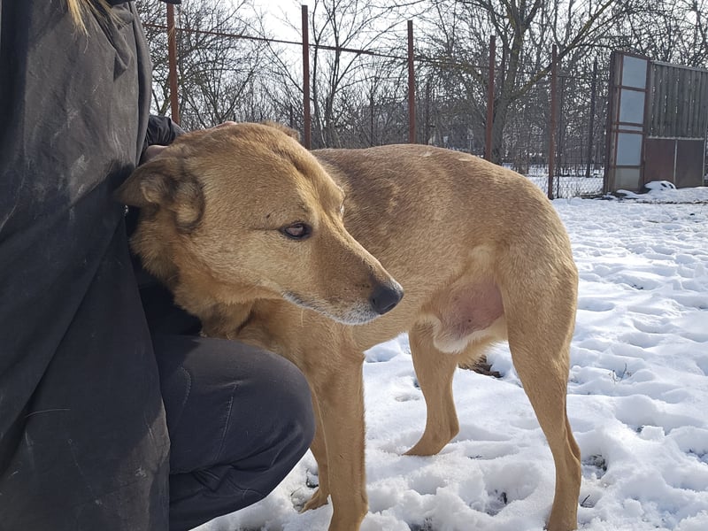 Unser Ulise sucht seine Familie