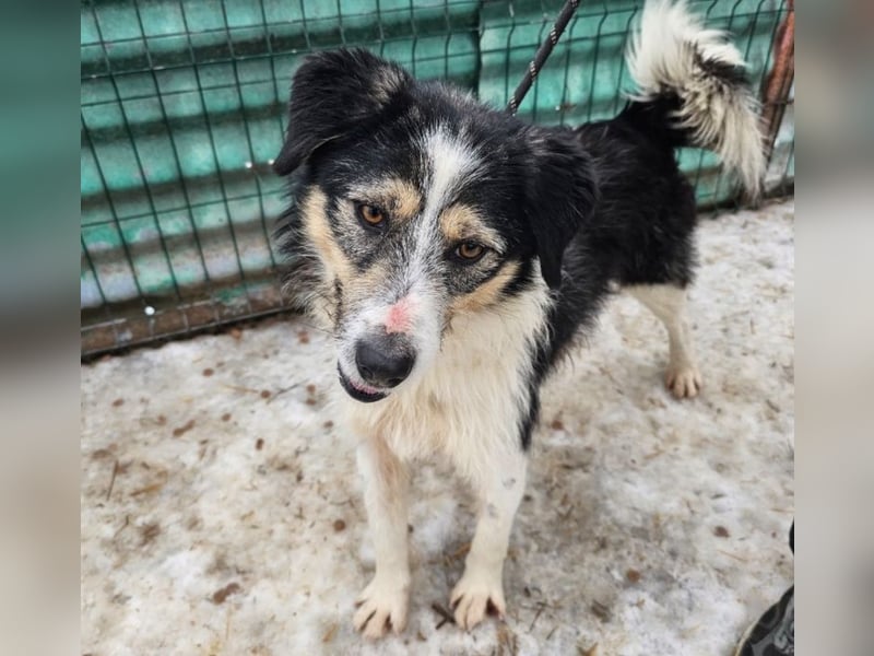 Filip - lieber Bub braucht menschliche Nähe