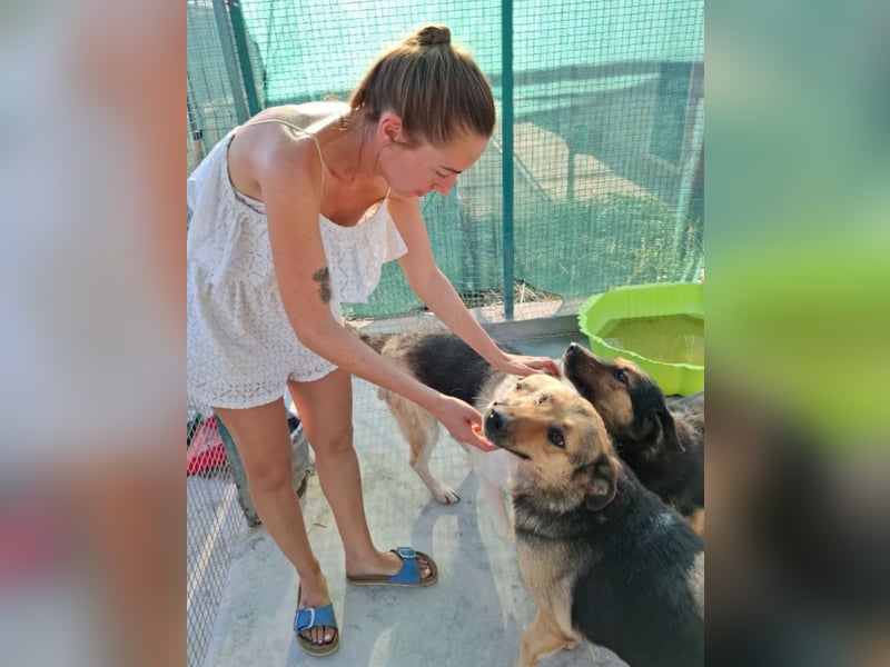 Raya - wartet seit 8 Jahren im Tierheim 