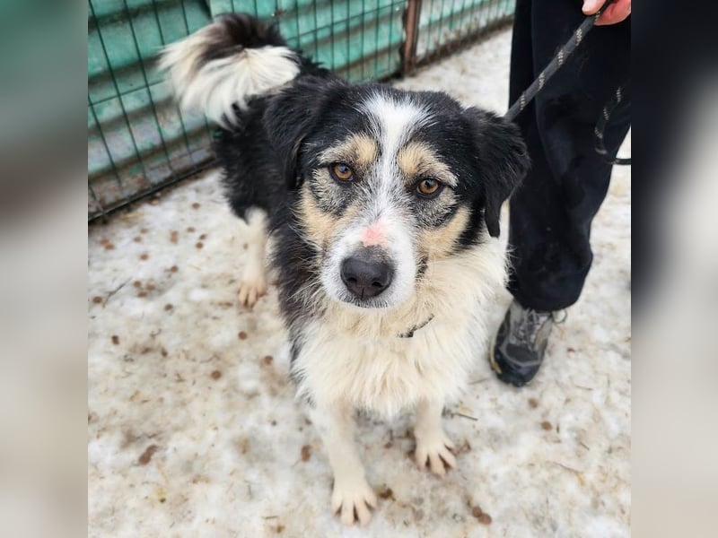 Filip - lieber Bub braucht menschliche Nähe