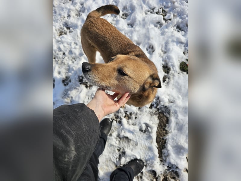 Unser Ulise sucht seine Familie