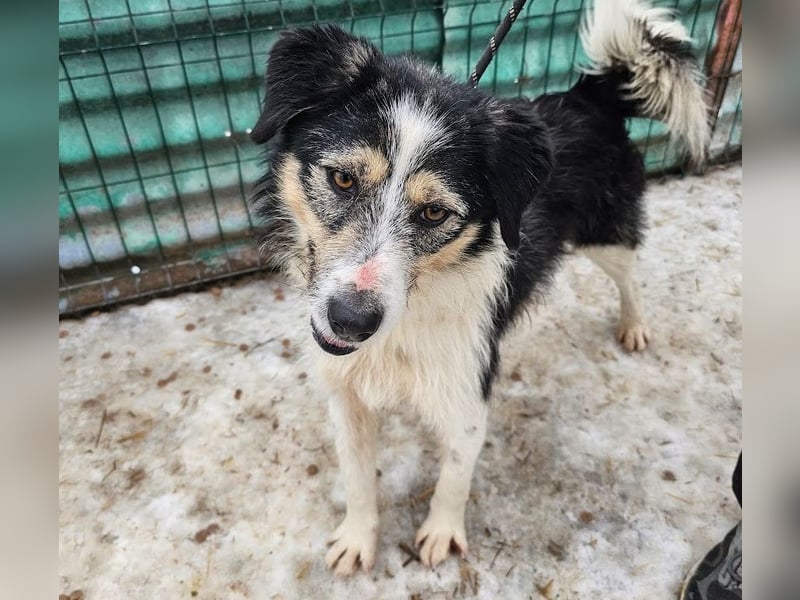 Filip - lieber Bub braucht menschliche Nähe