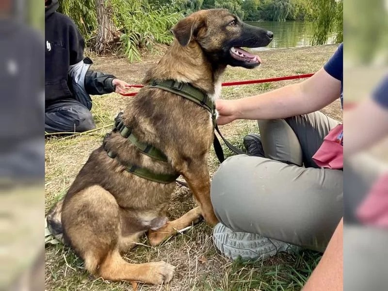 Joly sucht seine Person zum Ankommen
