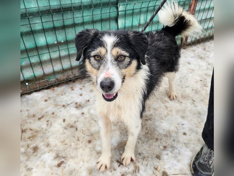 Filip - lieber Bub braucht menschliche Nähe