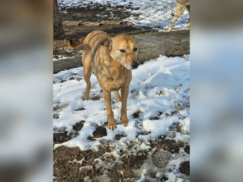 Unser Ulise sucht seine Familie