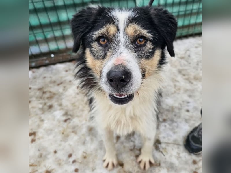 Filip - lieber Bub braucht menschliche Nähe