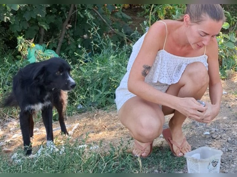 Woody - lieb und anschmiegsam