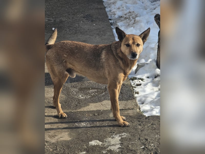 Unser Ulise sucht seine Familie