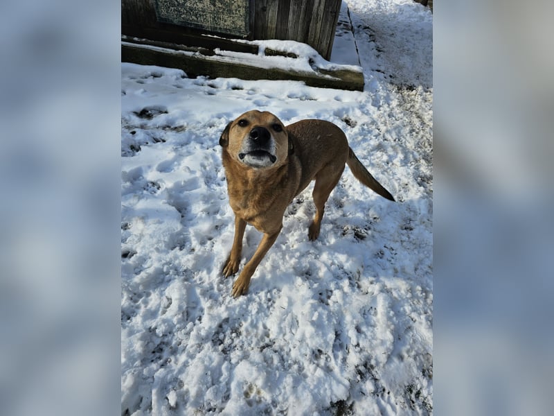 Unser Ulise sucht seine Familie